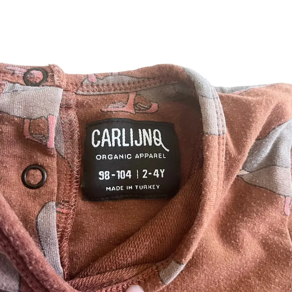Carlijnq girls brown duck print jersey dress size 2/4